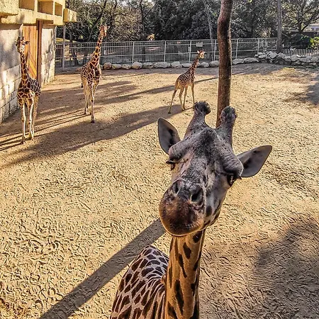 Stunning Stacaravan 3*